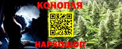 Альфа ПВП Обнинск