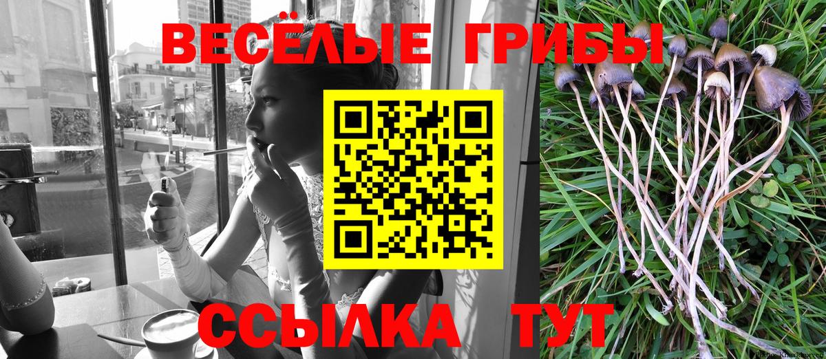 Среднеуральск  Псилоцибиновые грибы Psilocybine cubensis  Псилоцибиновые грибы мицелий  Вход с VPN 
